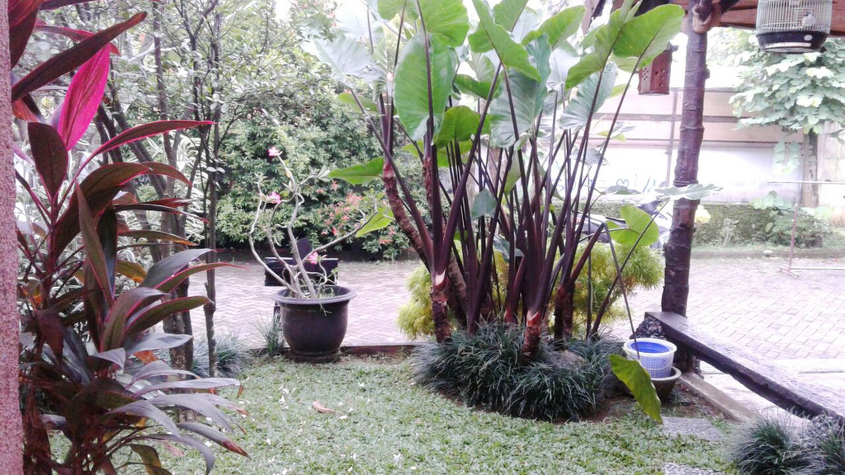 Rumah Dijual  lokasi strategis, bagus, nyaman dan aman daerah Ciputat-Tangsel
