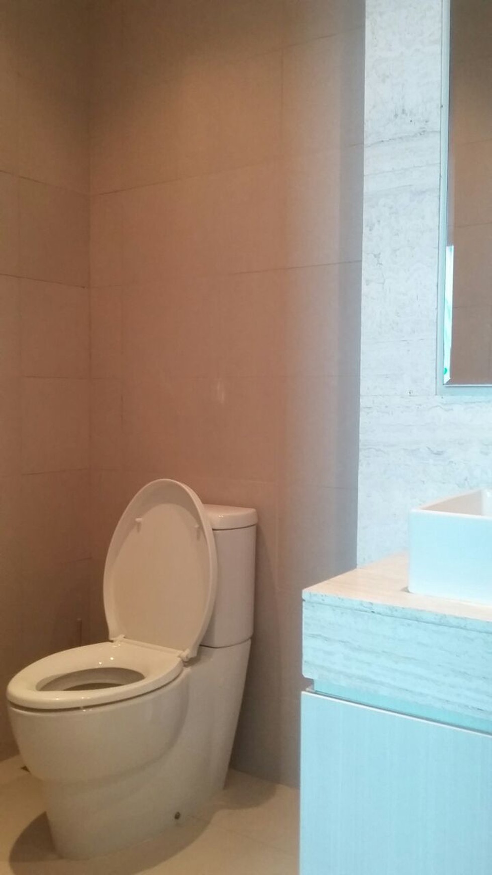 Apartemen cantik,rapi lokasi trategis di Senopati