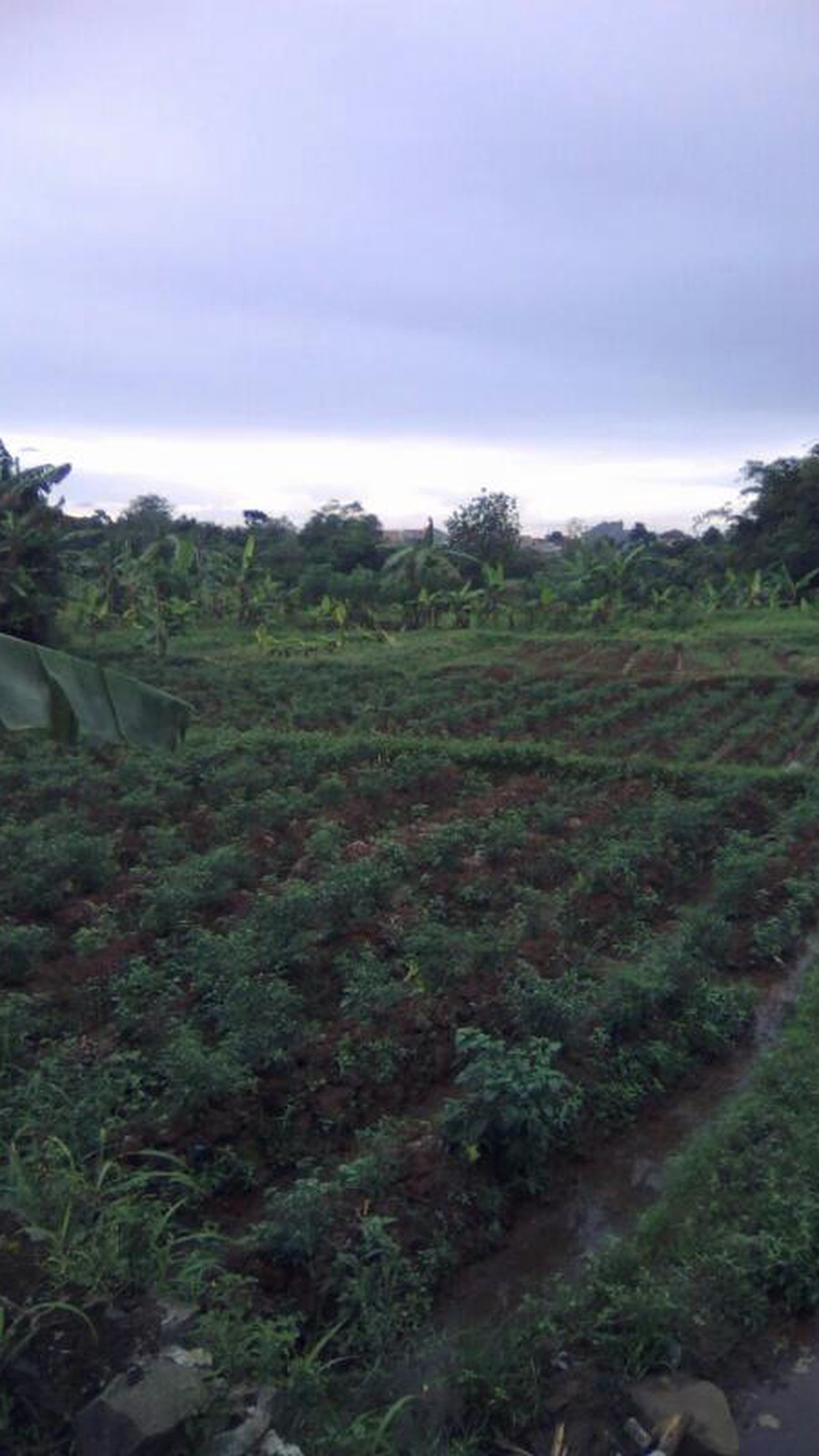 Dijual tanah, lokasi desa Bedahan Sawangan