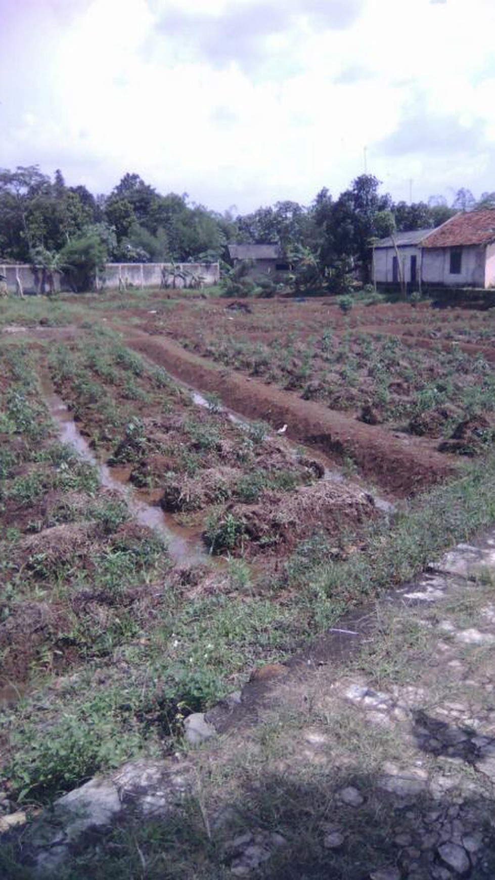 Dijual tanah, lokasi desa Bedahan Sawangan