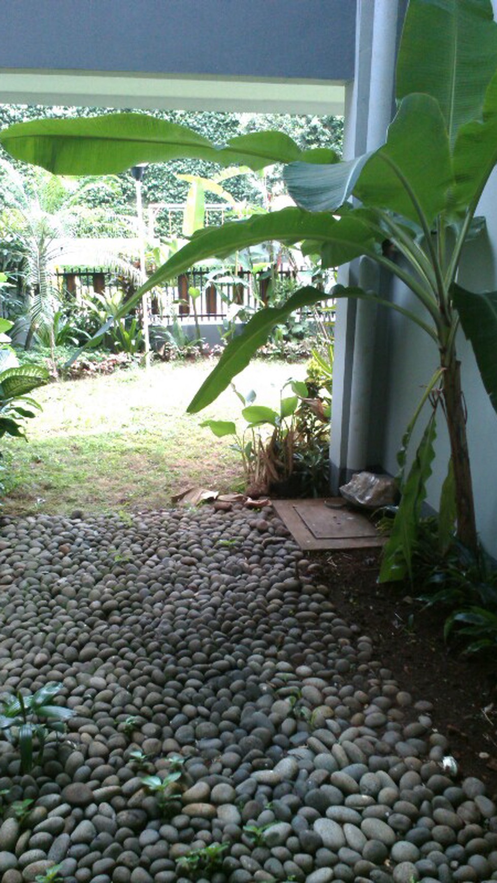 green and nice ;iving at kemang