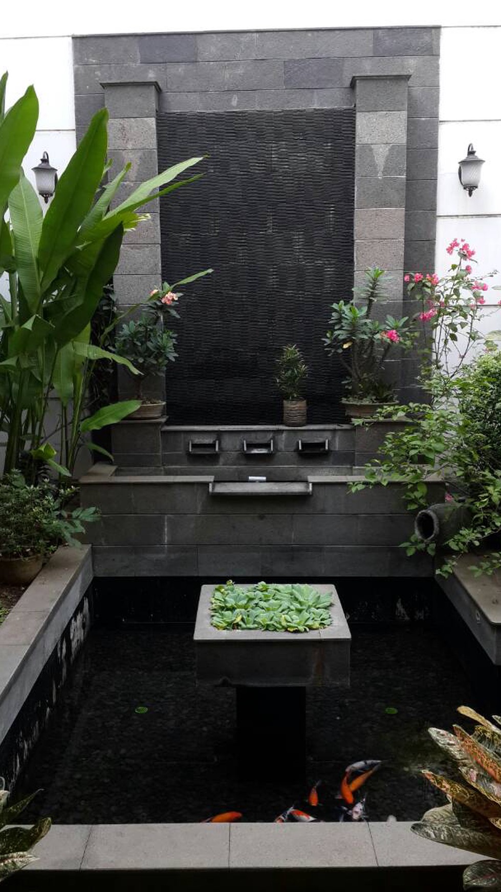Disewakan Rumah Di Bukit Hijau