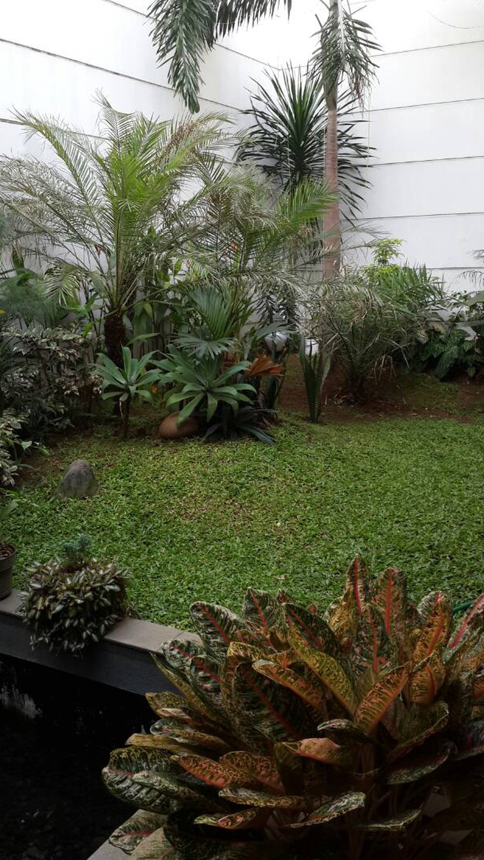 Disewakan Rumah Di Bukit Hijau