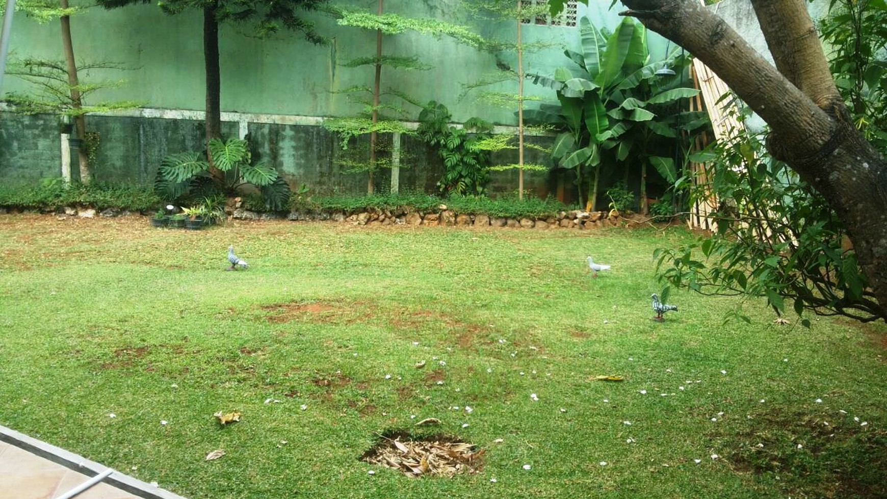 TURUN HARGA!!! Dijual Rumah Bagus Di Cikini, Bintaro Sektor 7