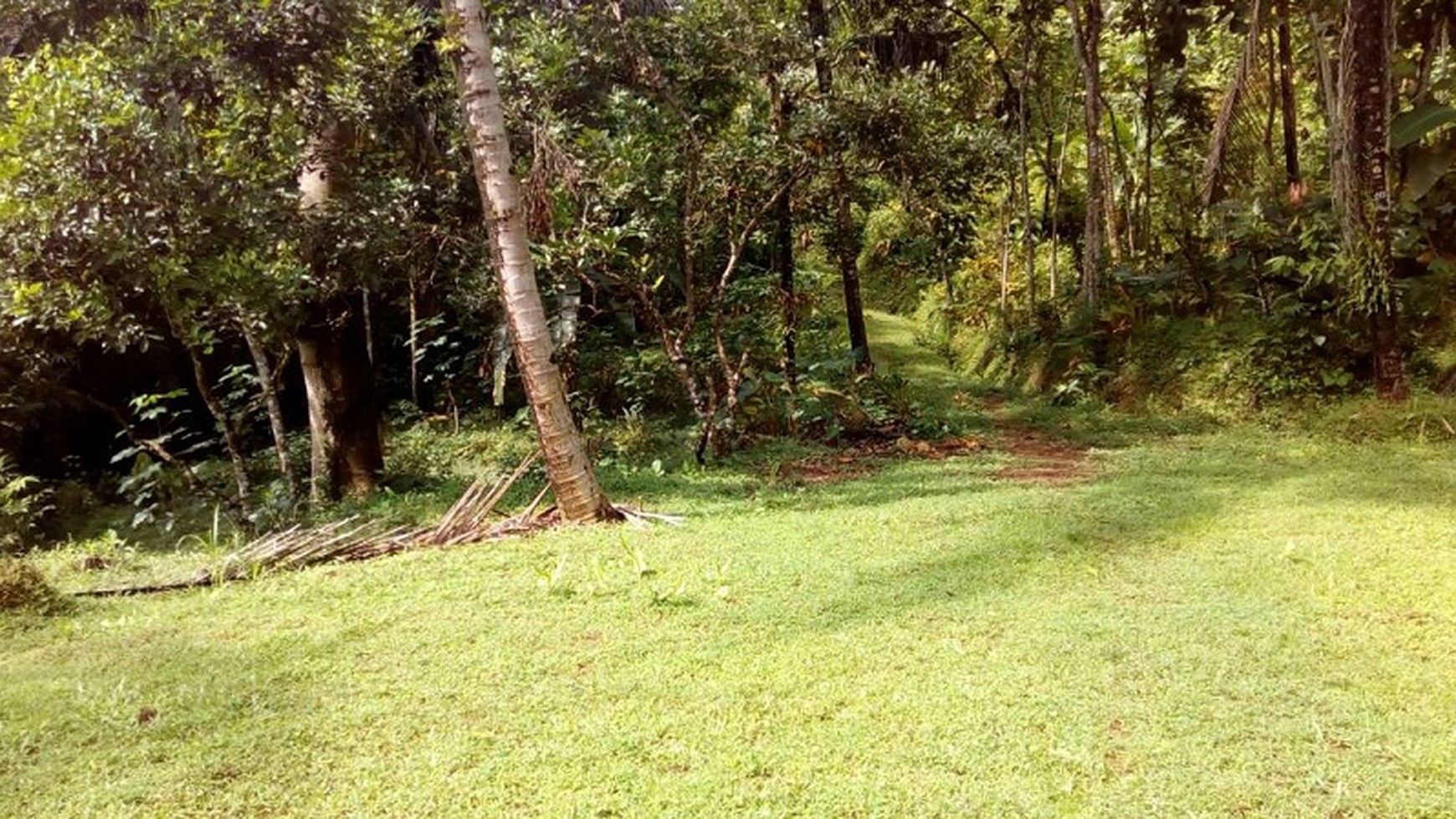 TANAH LUAS HARGA KOMPETITIF DIJUAL, HARGOWILIS, KULON PROGO