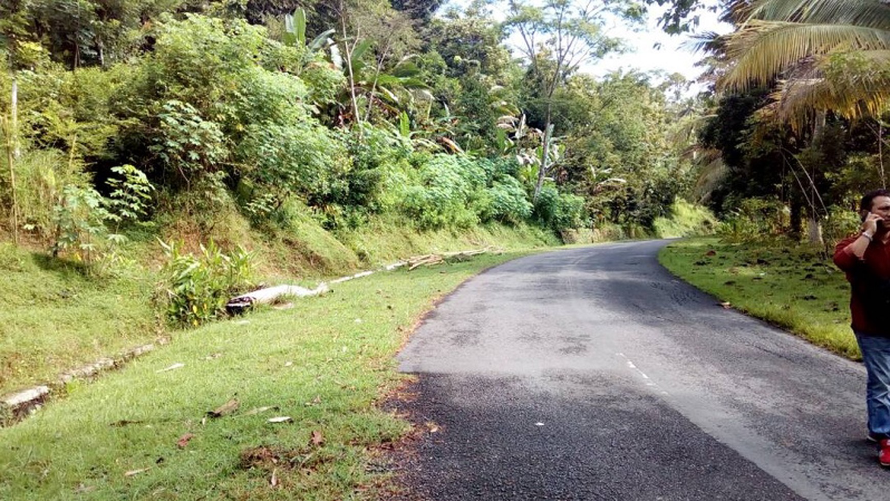 TANAH LUAS HARGA KOMPETITIF DIJUAL, HARGOWILIS, KULON PROGO