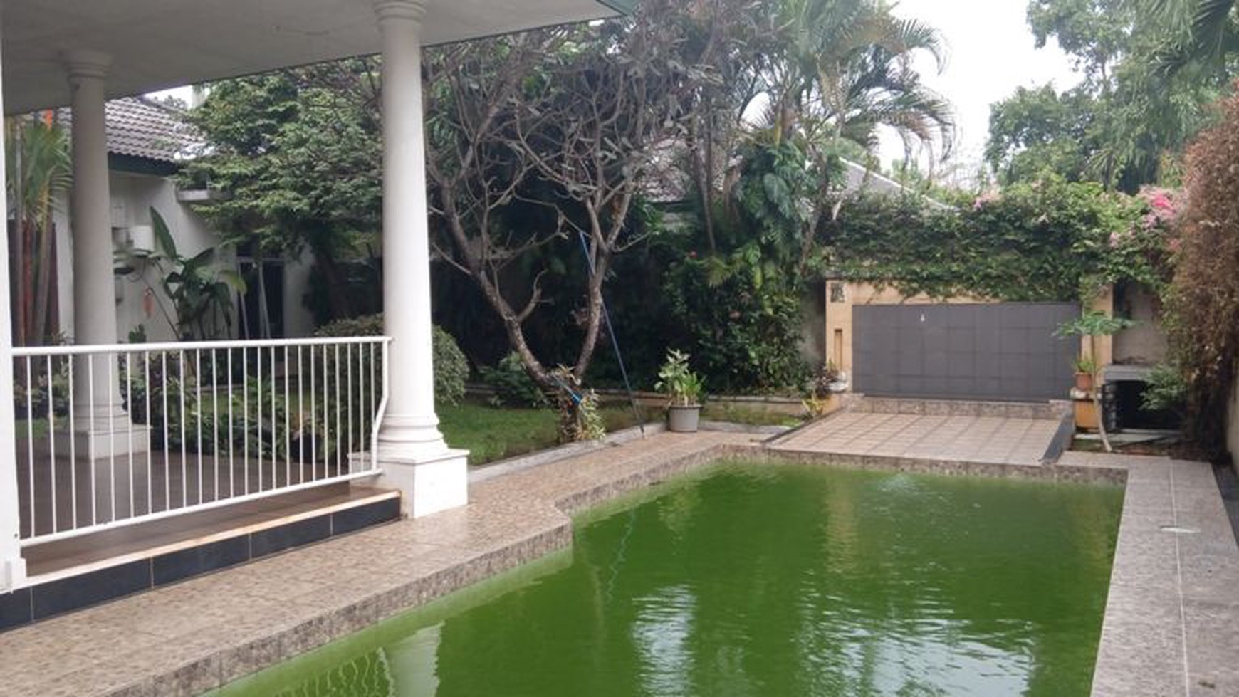 House with Big Yard in Kemang....