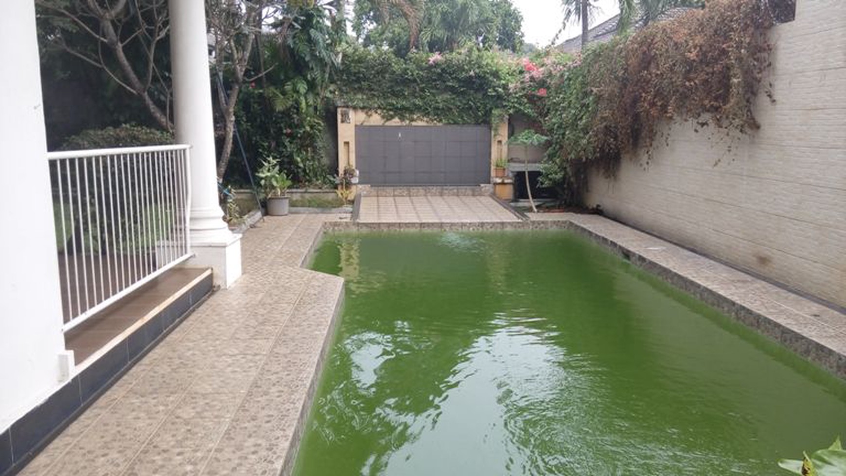 House with Big Yard in Kemang....