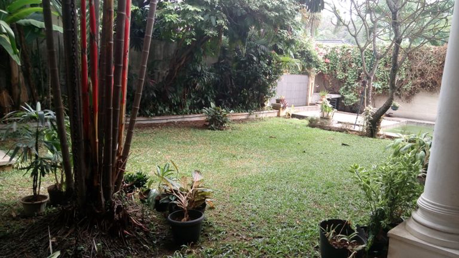 House with Big Yard in Kemang....