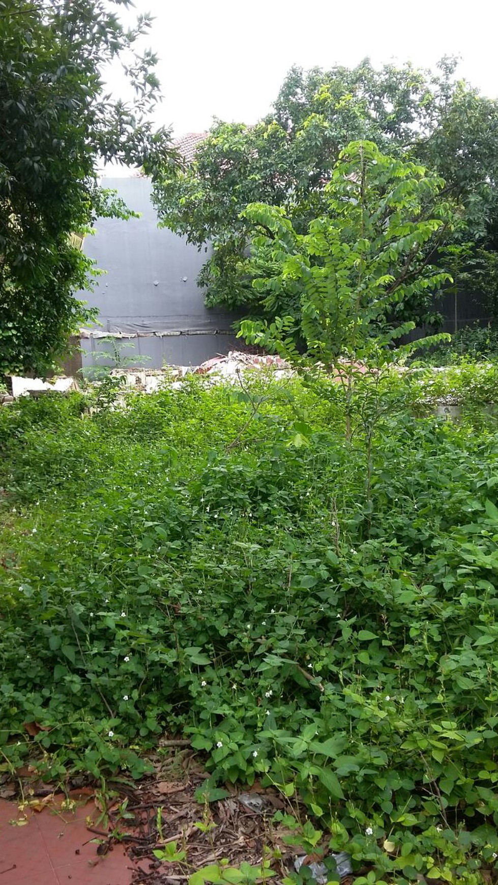 HARGA KAVLING,COCOK UNTUK USAHA DAN RUMAH DI JAKARTA SELATAN