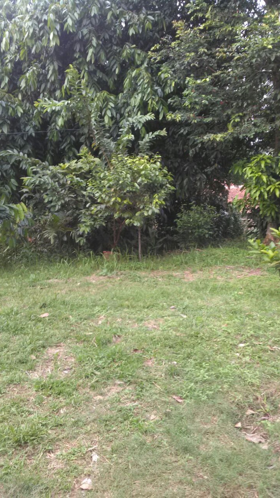 Kavling Siap Bangun,Bagus di Bogor