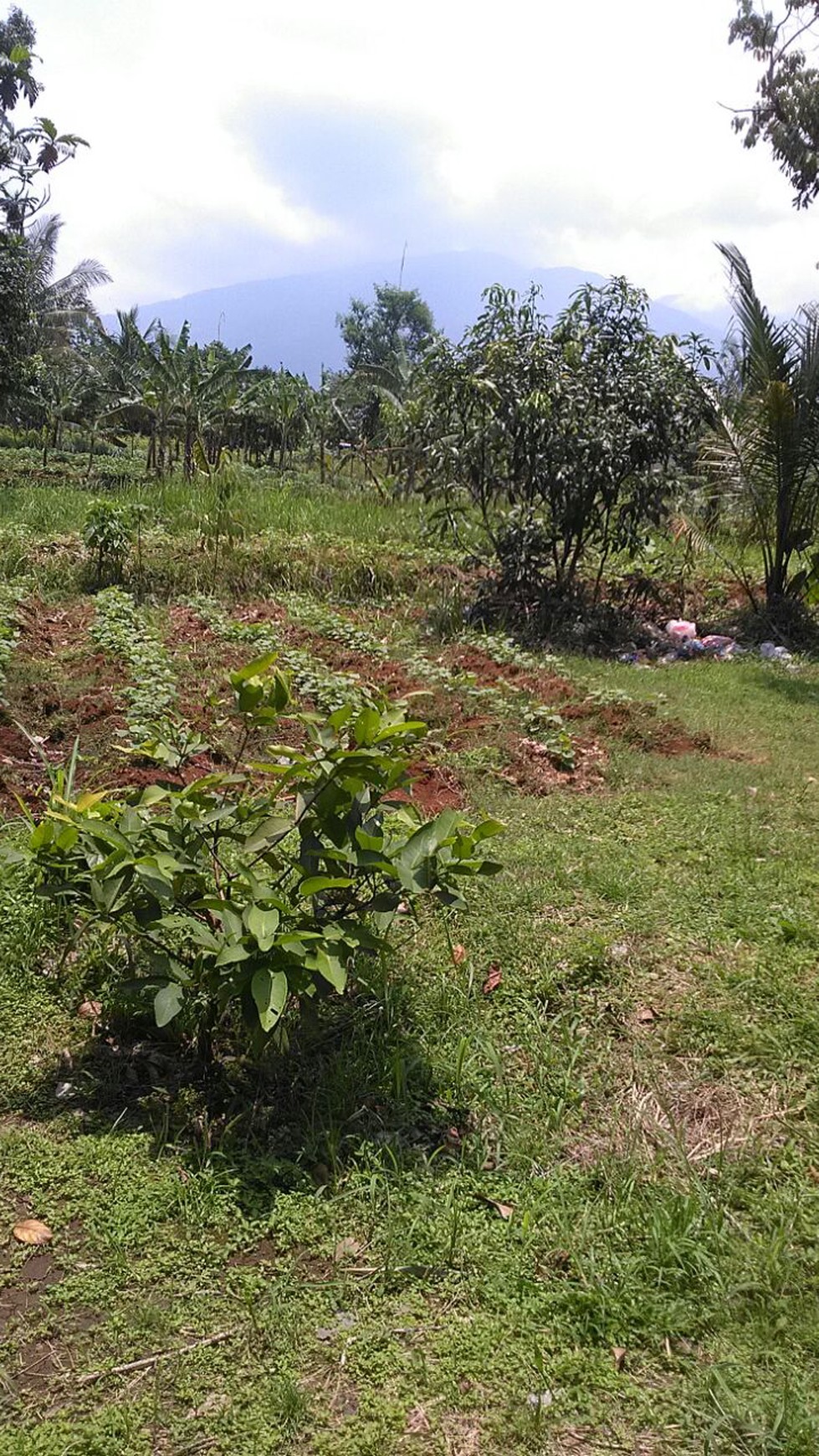 Kavling Siap Bangun,Bagus di Bogor