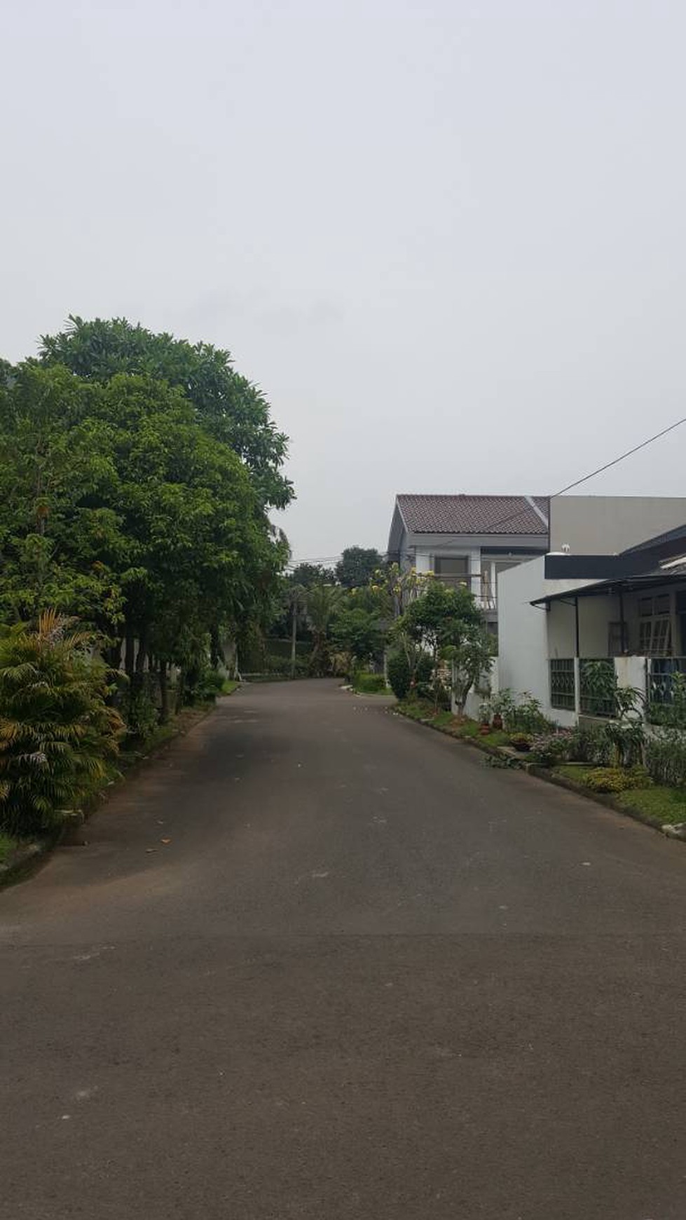 Dijual Rumah Bagus Siap Huni Di Bintaro Kawasan Maleo Bintaro Jaya Sektor 9 Tangerang Selatan