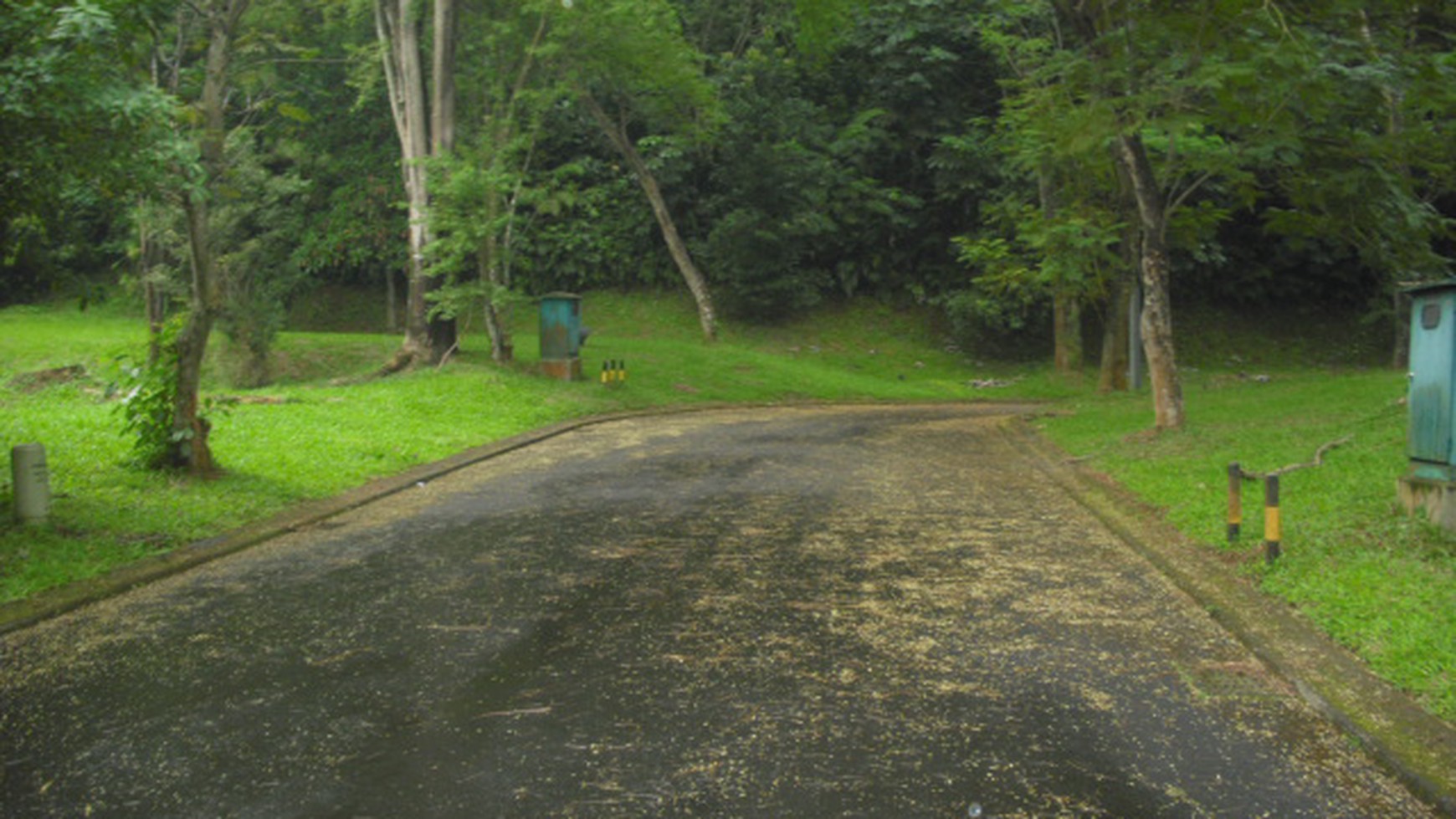 Rumah siap huni di The Green