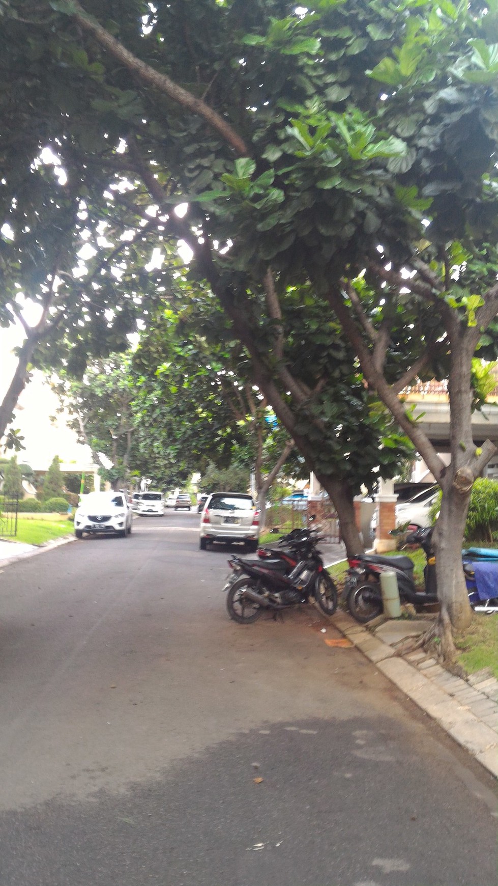 Lokasi cocok untuk tempat tinggal