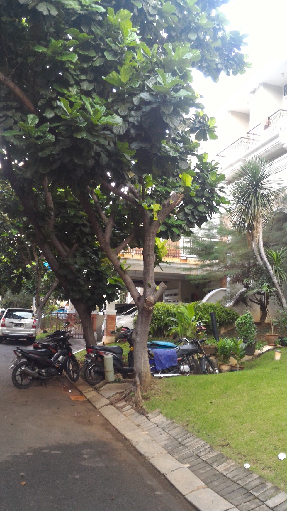 Lokasi cocok untuk tempat tinggal