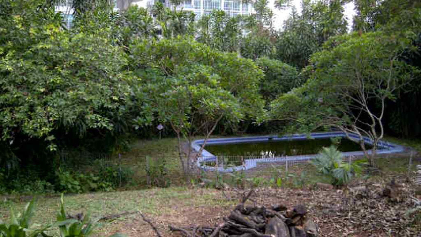 RUMAH STANDAR NAN LUAS DIKAWASAN ELITE KEMANG JAKARTA SELATAN