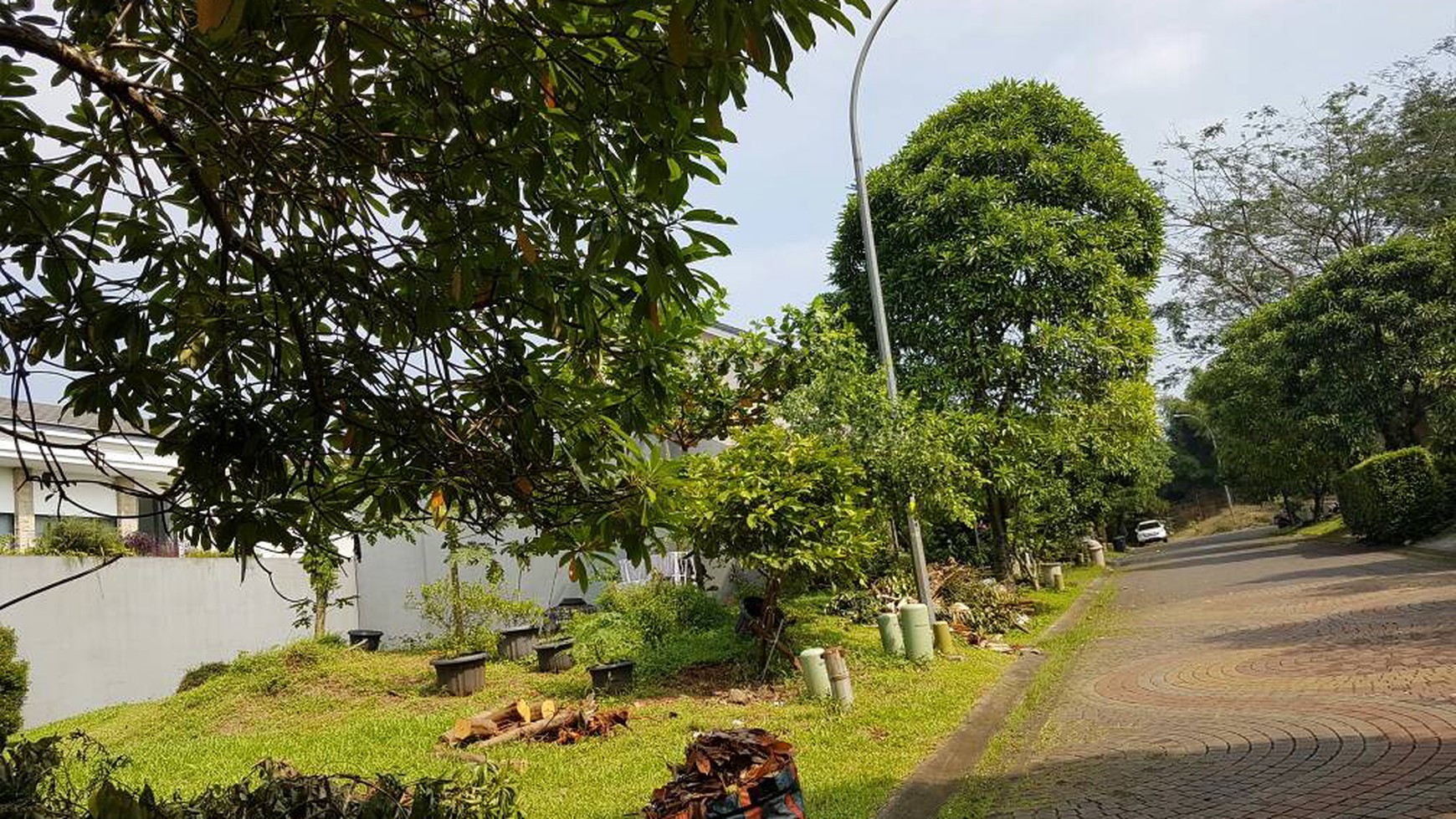 Kavaaling cantik di Delatinos