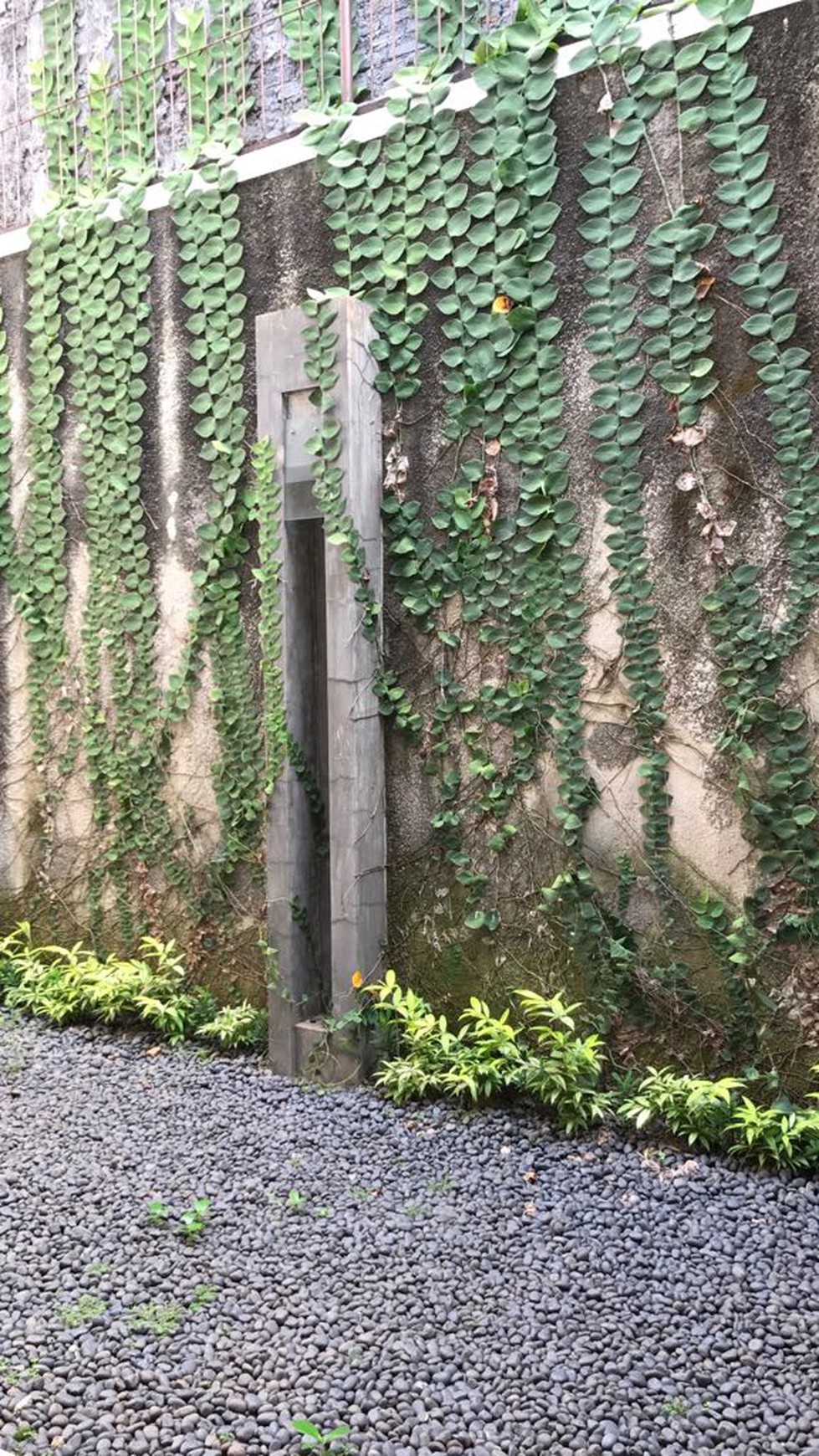 Disewa  rumah  Dikawasan Elit Jakarta Selatan