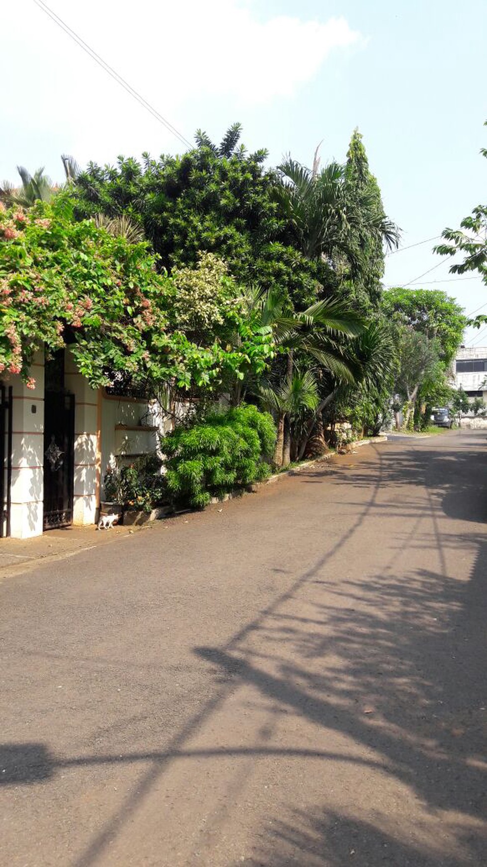 Rumah Asri di dekat Veteran Jaksel