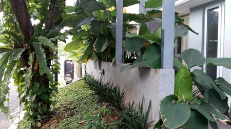 Brand New House In Cimandiri Bintaro