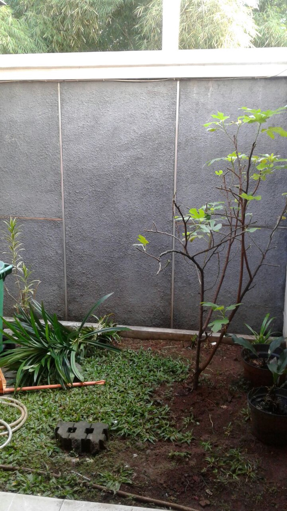 Rumah Pinggir Jalan di Pangkalan Jati