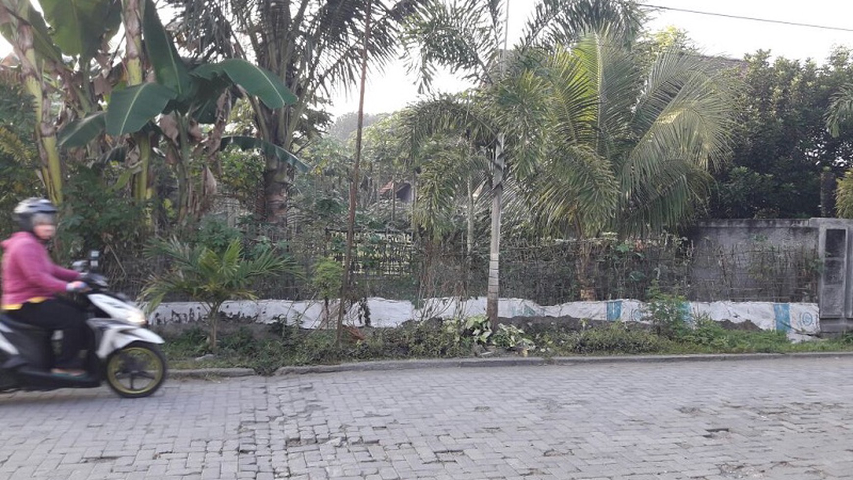 TANAH LUAS DAN STRATEGIS, JL JANAN, BOROBUDUR, MAGELANG