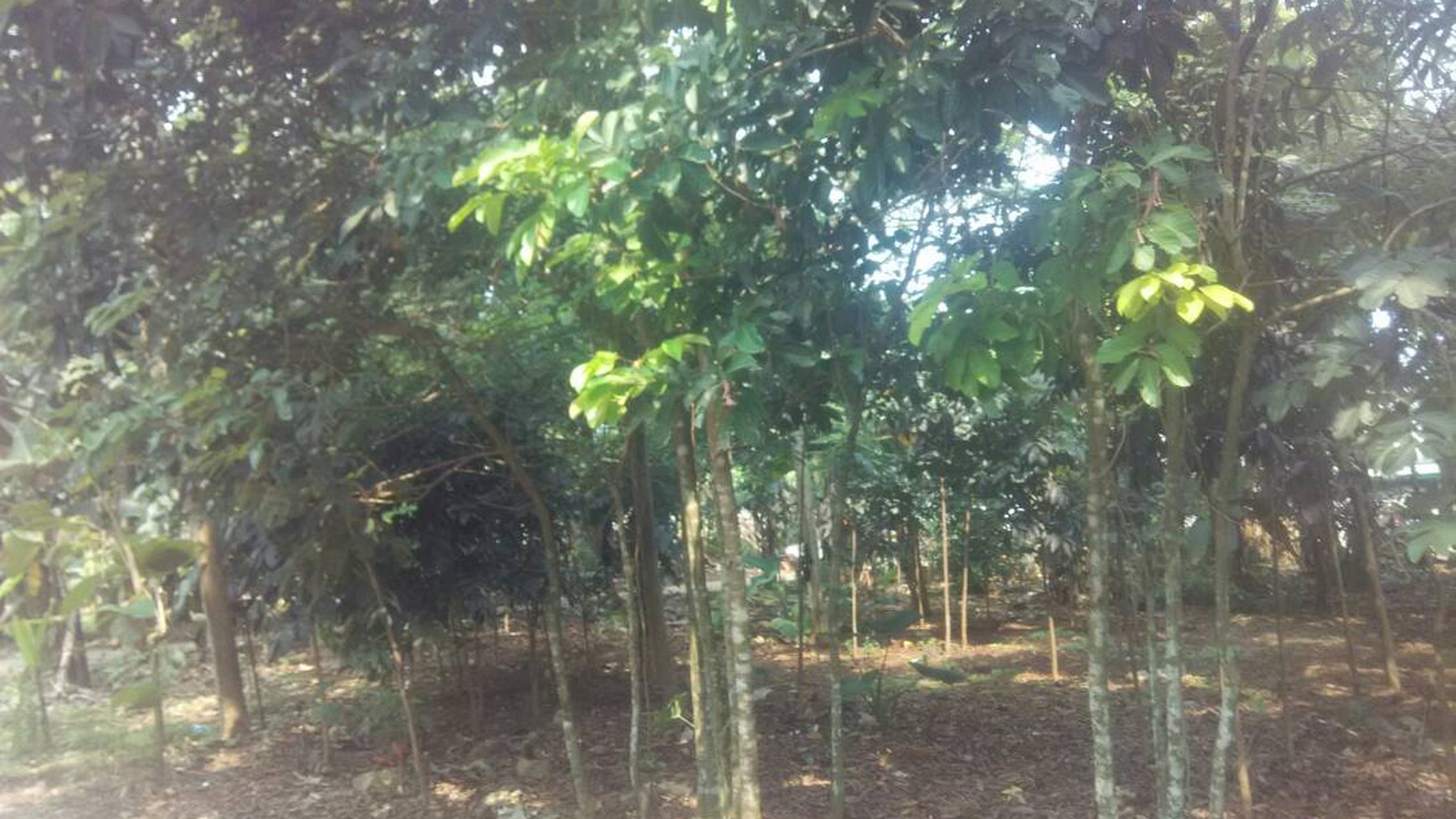 Kavling strategis harga terjangkau