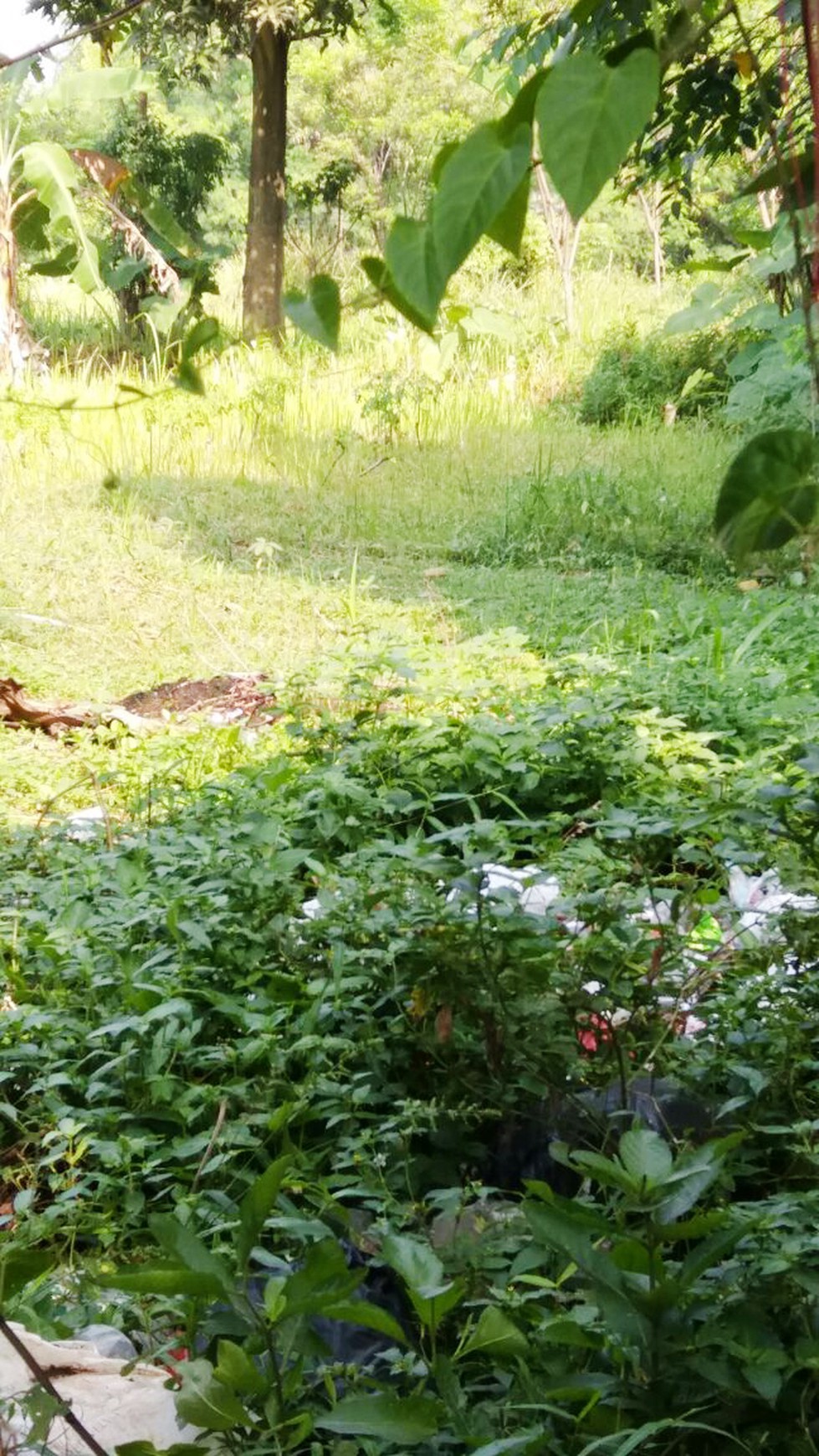 Dijual tanah Kavling Luas, lokasi sangat strategis, Akses lokasi mudah @Ciputat