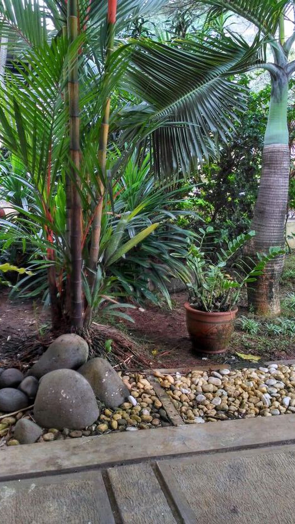 Dijual Rumah Asri, Tengah kota, dekat Taman Kota 2, Toll BSD City, siap huni