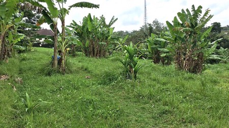 Dijual Tanah di Tabanan Bali