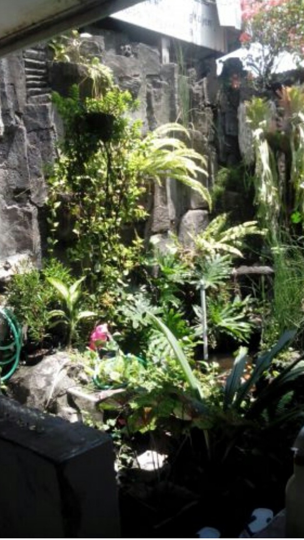 RUMAH LAMA COCOK UNTUK GUEST HOUSE, KARANGKAJEN, MERGANGSAN, KODYA