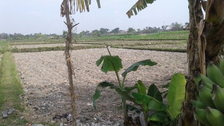 TANAH STRATEGIS DIDEKAT CANDI PRAMBANAN DAN  DEKAT DENGAN PUSAT BISNIS