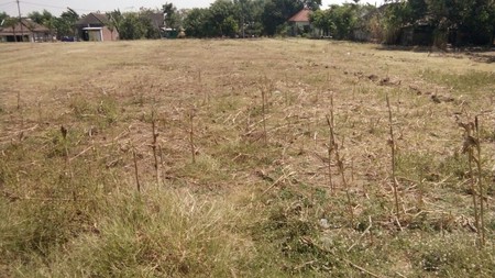 TANAH PALEM WATU GRESIK