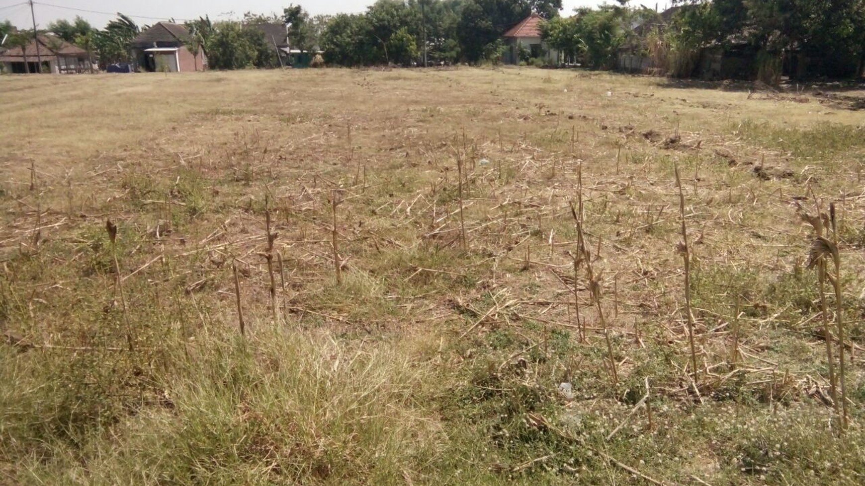 TANAH PALEM WATU GRESIK