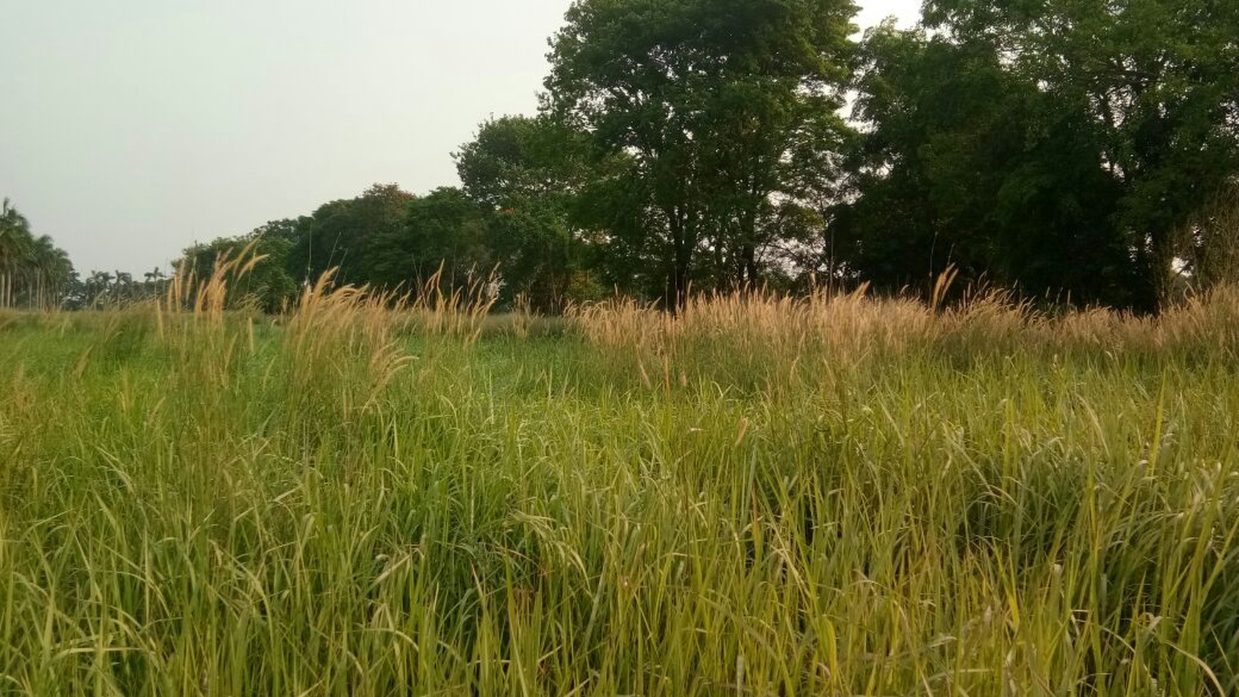 Kavling Paramount Hills Golf