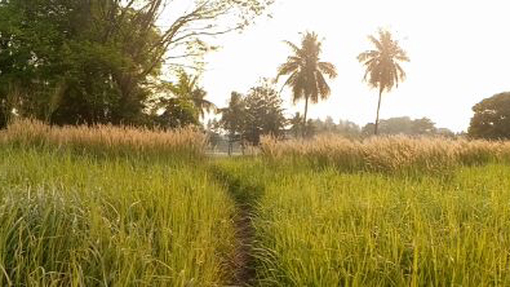 Kavling Paramount Hills Golf