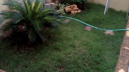 PURI SHANAYA BAGUS MURAH