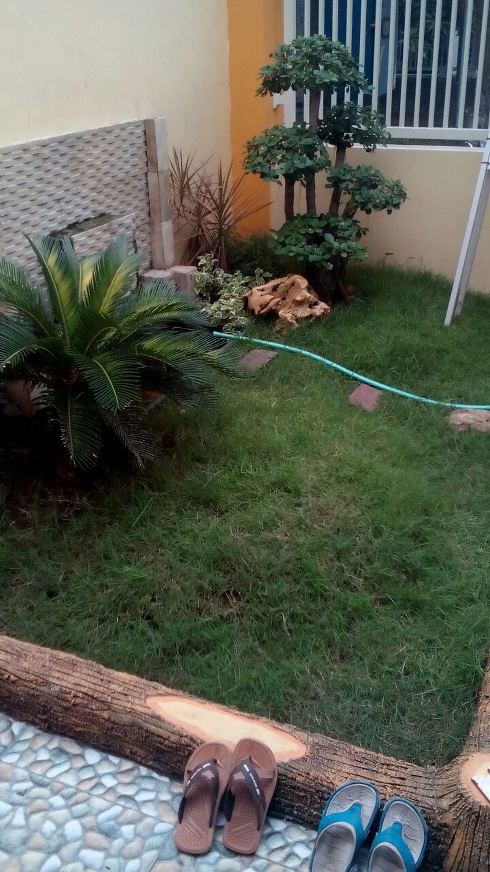 PURI SHANAYA BAGUS MURAH