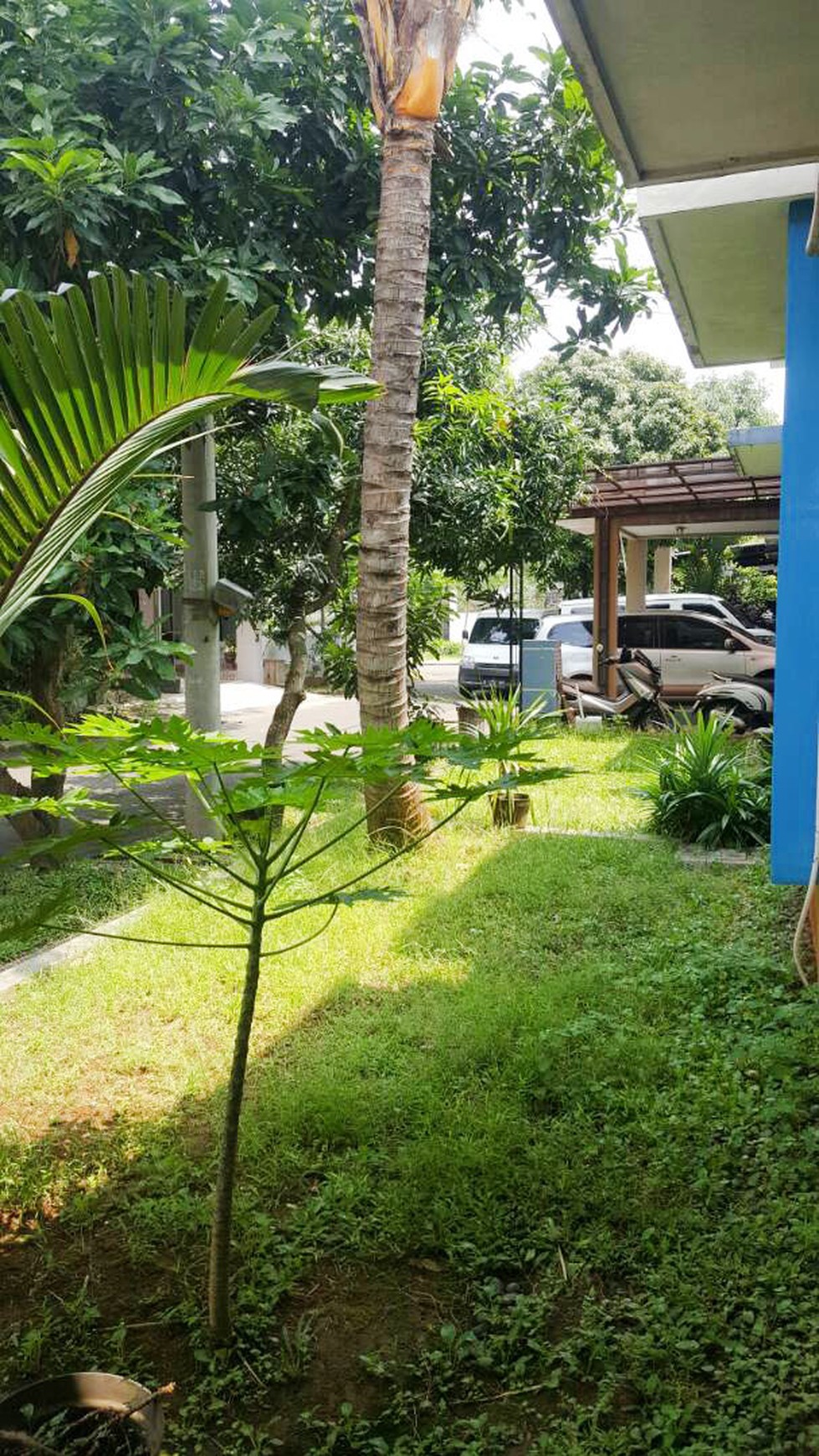 Rumah Strategis Bintaro, nyaman, aman, dan siap huni terletak di kawasan Celesta Bintaro Tangerang Selatan