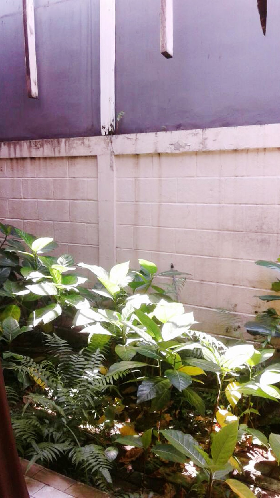 Dijual Rumah Bintaro Lingkungan Nyaman Strategis dan Asri di kawasan Graha Raya Bintaro Tangerang selatan