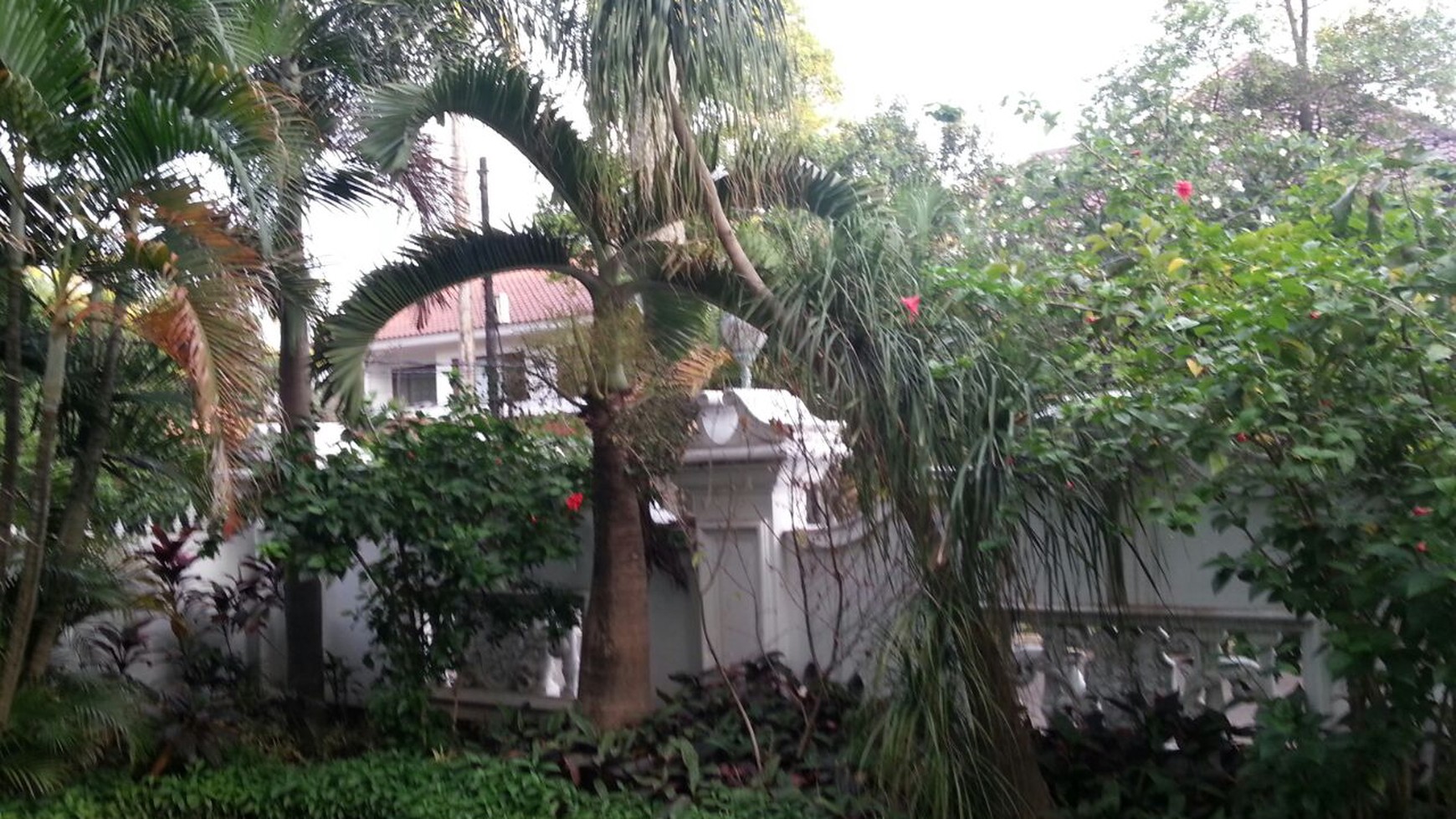 Rumah Sewa di Kebayoran Baru Jalan Galuh