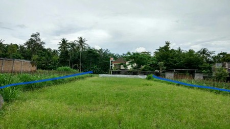 TANAH LUAS DILOKASI STRATEGIS, JL. KALIURANG, NGEMPLAK, SLEMAN