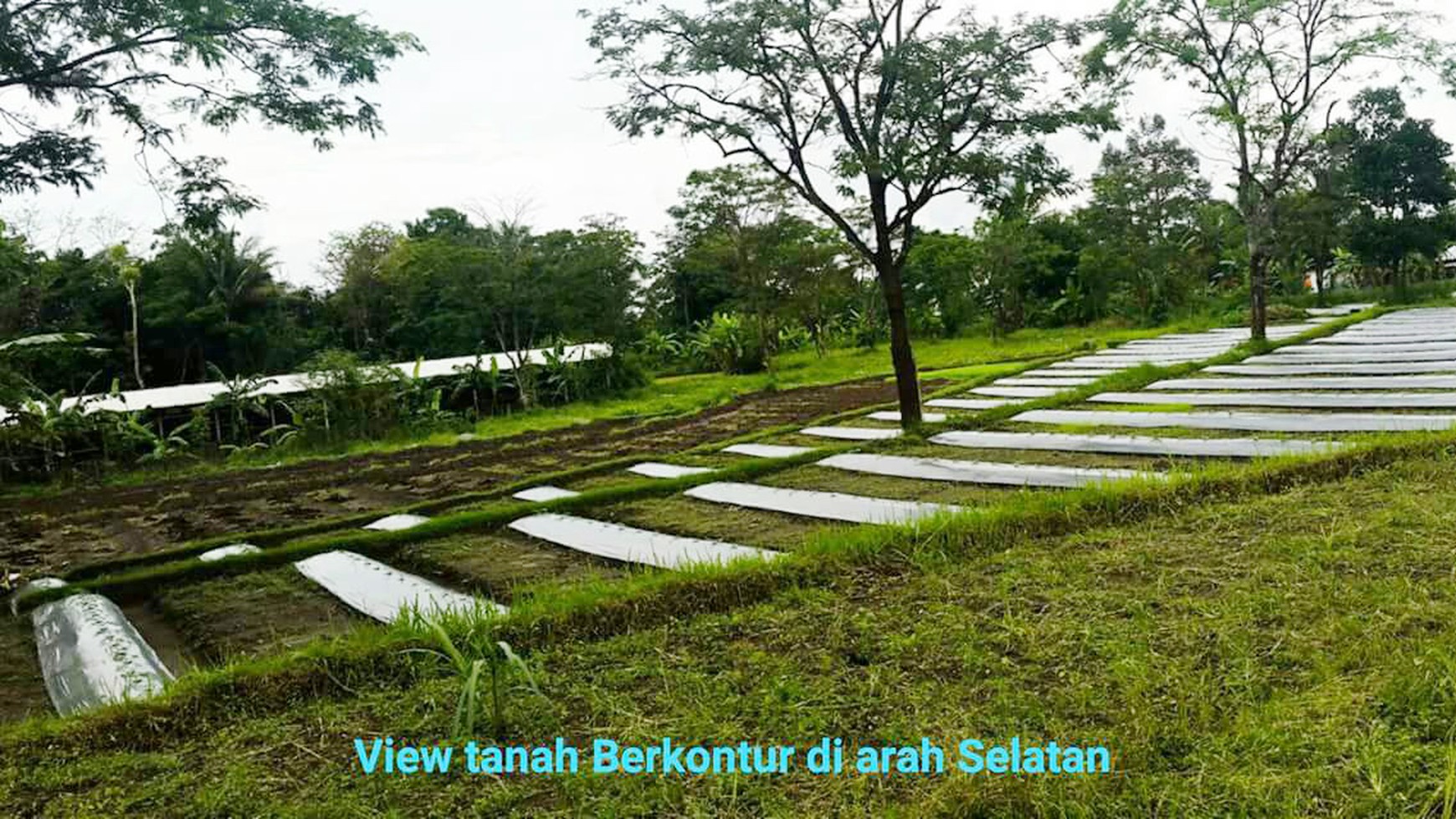 TANAH LUAS DILOKASI STRATEGIS, JL. KALIURANG, NGEMPLAK, SLEMAN