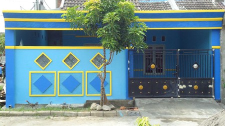 GREEN CERME GRESIK MURAAH