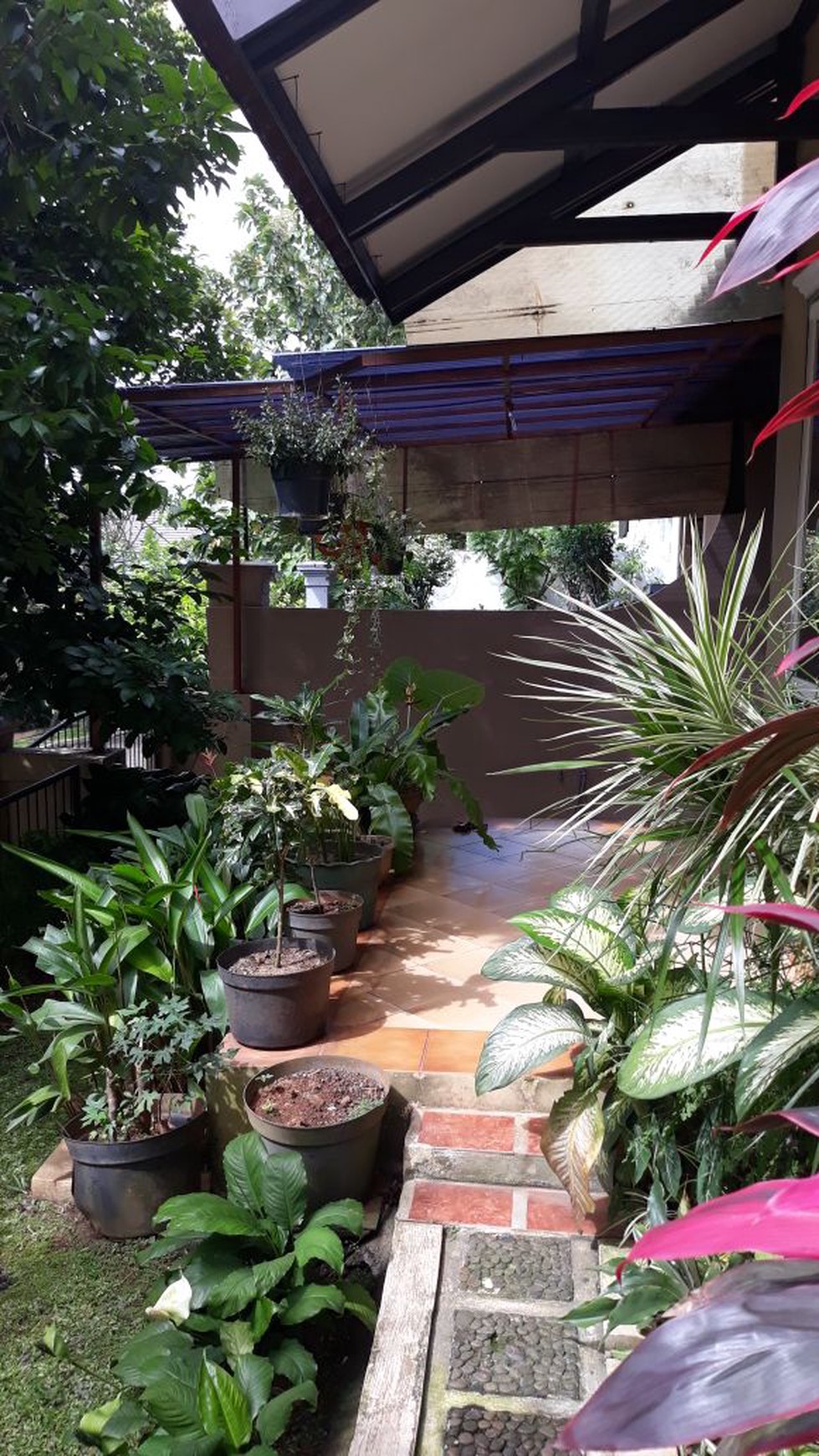 Dijual Rumah dengan pemandangan Gunung Salak