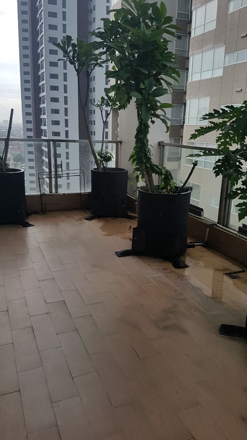 Sewa Apartemen 1Park Residence  Gandaria - 1 Bedrooms