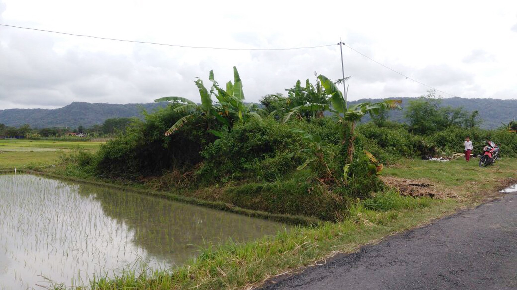 TANAH (SAWAH) LUAS DENGAN LOKASI STRATEGIS DI JL.WONOSARI, PIYUNGAN, SLEMAN