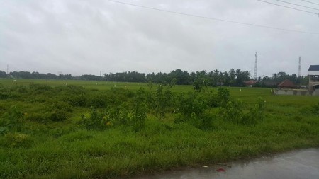 Dijual Tanah di Jl. Cijeruk - Ciujung, Serang