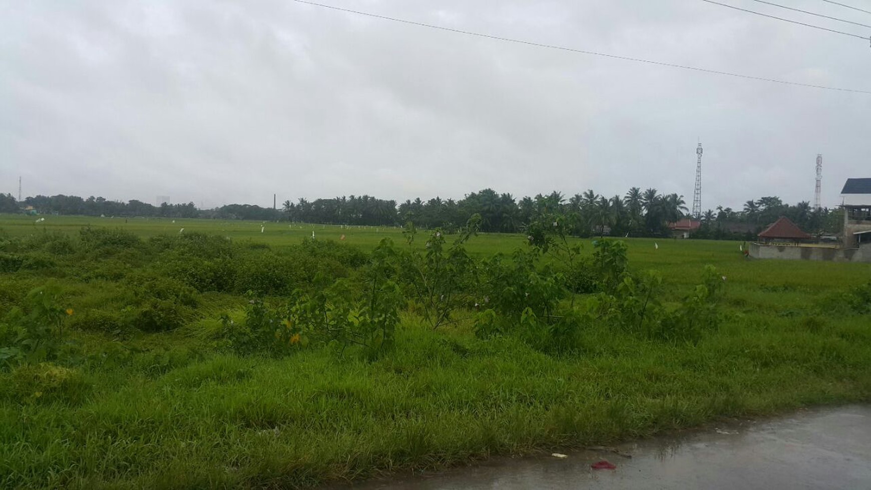 Dijual Tanah di Jl. Cijeruk - Ciujung, Serang